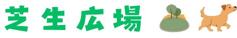 広場
